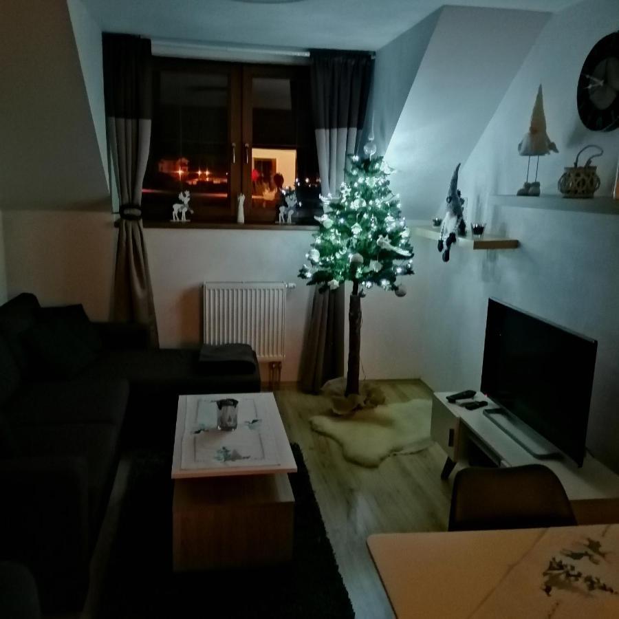 Apartman Angel 벨카 롬니차 외부 사진